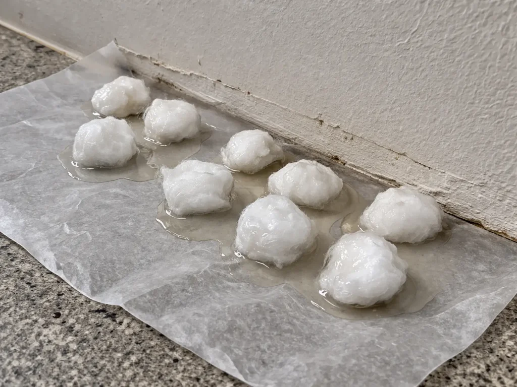 DIY boric acid and sugar liquid bait station for carpenter ants