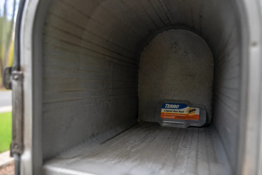 Terro liquid bait station used as a safe method for how to get rid of ants in mailbox