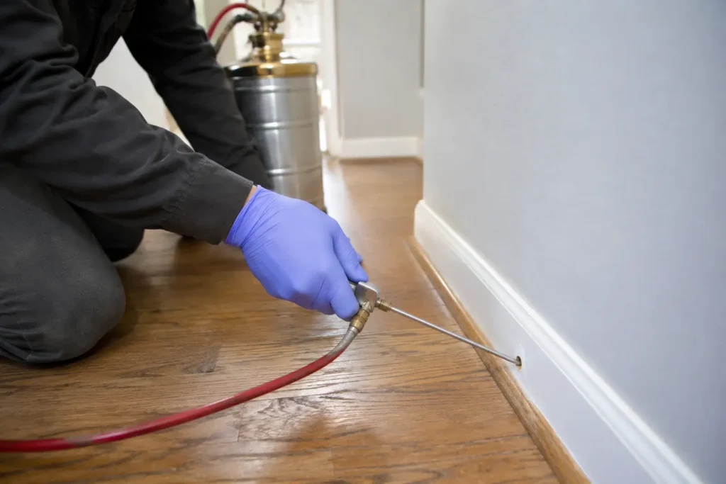 Pest control expert applying professional Termidor treatment for termite and carpenter ant infestations in a home baseboard.