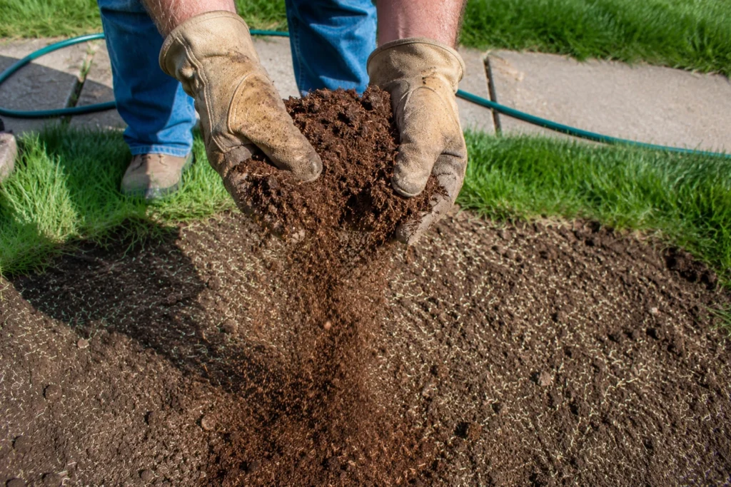 Peat moss on top of grass seed — hand spreading dark peat moss over lawn