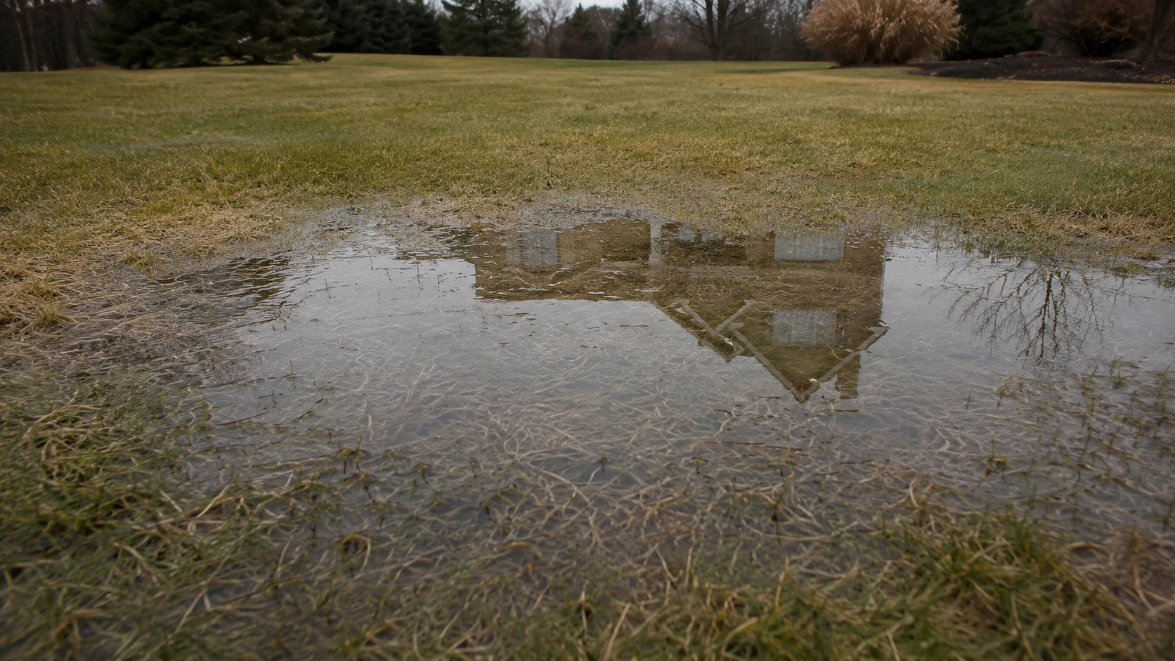 Standing water pooling on a flooded suburban lawn requiring drainage solutions.