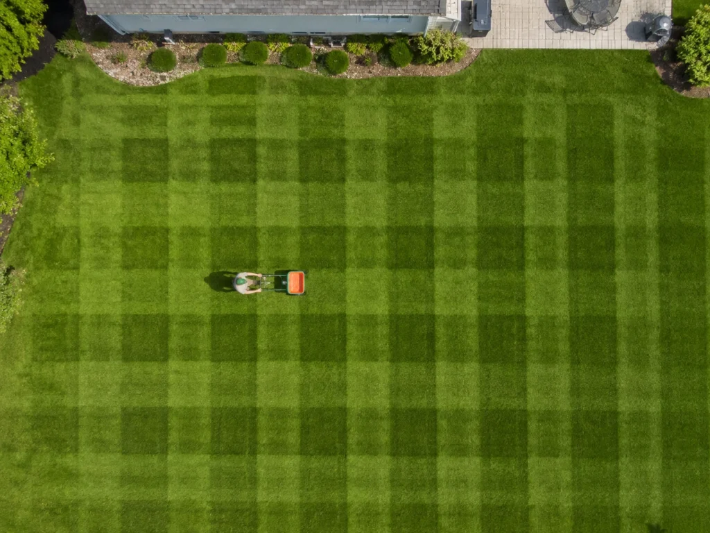 Top-down view of walking a broadcast spreader in overlapping grid lines for even fertilizer application