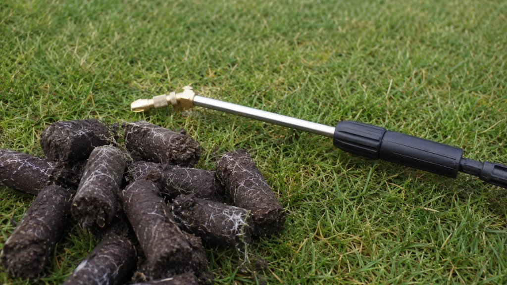Sprayer wand and soil aeration plugs near a fungal turf ring