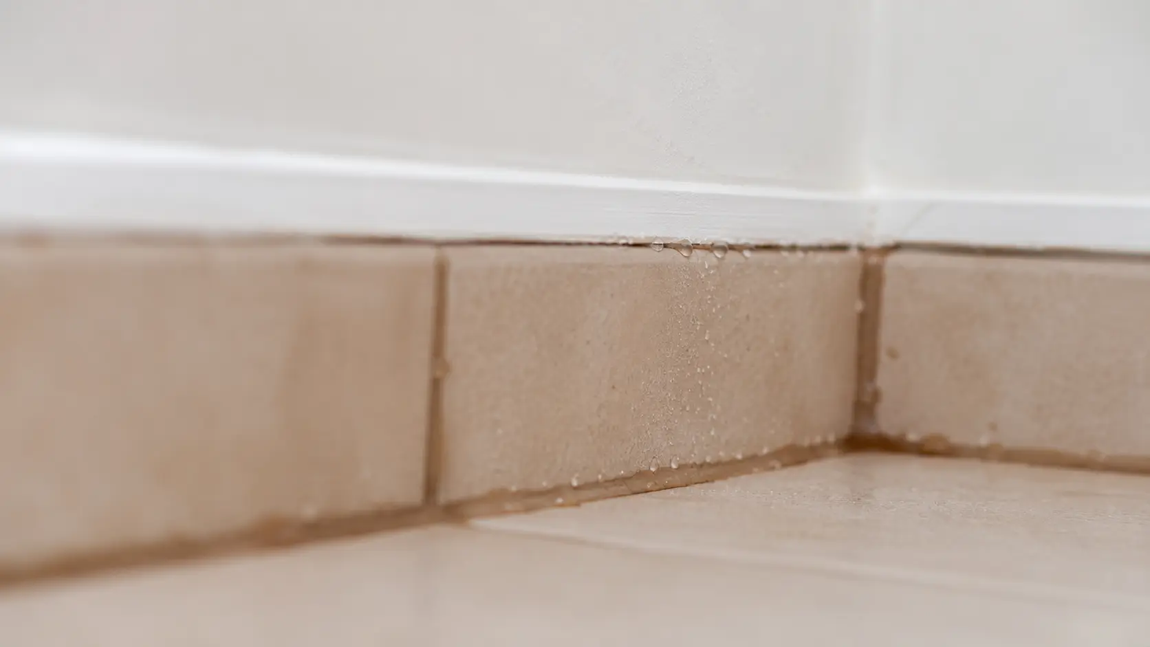 A damp indoor tile corner showing ideal conditions for a springtails natural remedy